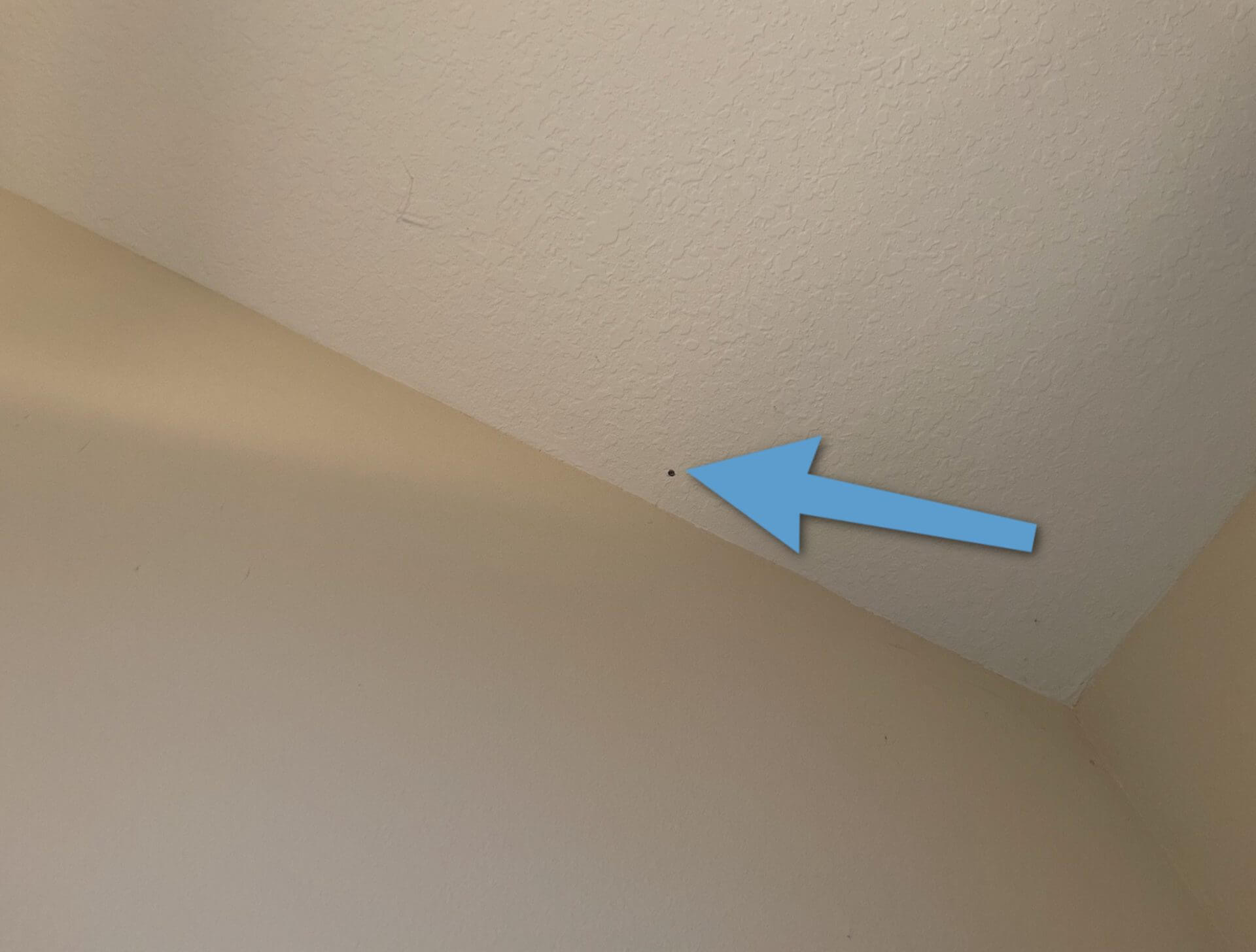 Arrow pointing to nail popping out of ceiling during home inspection